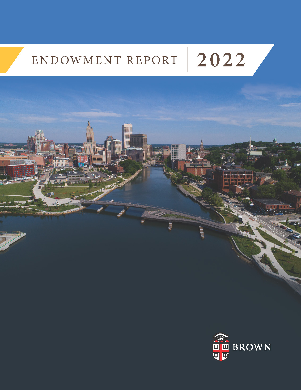 report cover for 2021